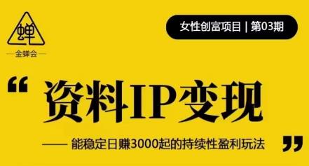 资料IP变现，能稳定日赚3000起的持续性盈利玩法-一米创业记