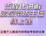 婉婉-主播拉新实操课，流程化讲解资深带货主播，让每个人都成为经得起考验的主播-一米创业记