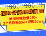 21天视频号变现特训营：单视频播放量2亿+3个月涨粉30w+变现20w+（第14期）-一米创业记