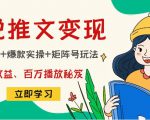 小说推文训练营：引流技巧+爆款实操+矩阵号玩法，百倍效益、百万播放秘笈-一米创业记