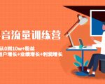 美业抖音流量训练营：从0到10w+粉丝 让你的门店用户增长+业绩增长+利润增长-一米创业记