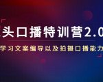 镜头口播特训营2.0版，学习文案编导以及拍摄口播能力（50节课时）-一米创业记