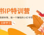 小红书IP特训营：从搭建-制作-爆款脚本等等，做一个赚钱的小红书号-一米创业记