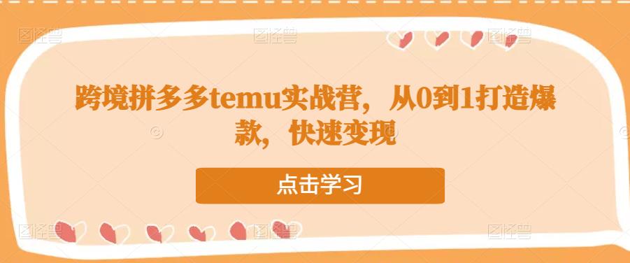 跨境拼多多temu实战营，从0到1打造爆款，快速变现-一米创业记
