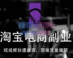 蓝Sir派·淘宝短视频快速起店，替代传统搜索方式，学会做一个不一样的淘宝店-一米创业记