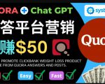 免费推广Clickbank热销商品，每单25.07美元，日赚50美元以上-一米创业记