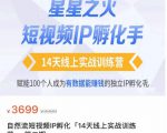 瑶瑶·自然流短视频IP孵化第二期，14天线上实战训练营，赋能100个人成为有数据能赚钱的独立IP孵化手-一米创业记