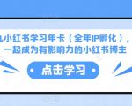 厦九九小红书学习年卡（全年IP孵化），沉浸式学习，一起成为有影响力的小红书博主-一米创业记