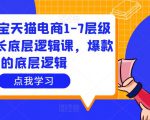 大圣淘宝天猫电商1-7层级盈利增长底层逻辑课，爆款的底层逻辑-一米创业记