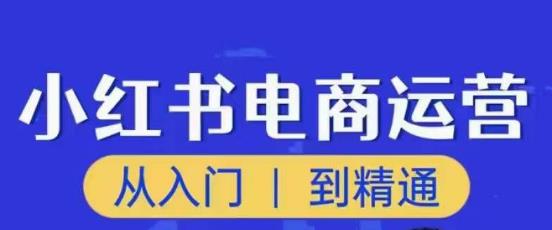 顽石小红书电商高阶运营课程，从入门到精通，玩法流程持续更新-一米创业记