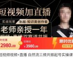 张越·短视频+直播，自然流三频共振起号实操课，​短视频所有流量玩法讲解-一米创业记
