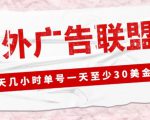 外面收费1980的最新国外LEAD广告联盟搬砖项目，单号一天至少30美金【详细玩法教程】-一米创业记