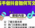 新手做抖音如何写文案，手把手实操如何拆解热门文案-一米创业记
