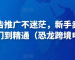 亚马逊广告推广不迷茫，新手卖家产品运营入门到精通（恐龙跨境电商）-一米创业记