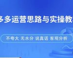 拼多多店铺运营思路与实操教程，快速学会拼多多开店和运营，少踩坑，多盈利-一米创业记