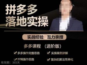 拼多多实战篇·落地实操：多多操作完整思路+实操案例讲解+拆解操作思路+复杂的算法简单化-一米创业记