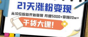 21天精准涨粉变现干货大课：从10位粉丝开始变现月增5000+变现20w+-一米创业记