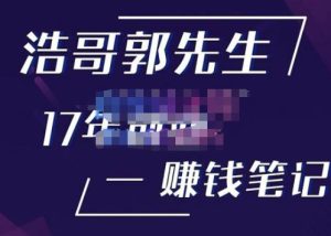浩哥郭先生17年创业赚米笔记，打开你对很多东西的认知，让你知道原来赚钱或创业不单单是发力就行-一米创业记