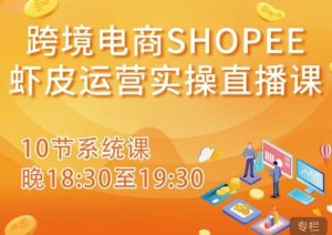 跨境电商Shopee虾皮运营实操直播课，从零开始学，入门到精通（10节系统课）-一米创业记