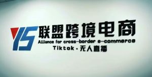 YS联盟·Tiktok无人直播，不出镜不剪辑不拍摄不发货无售后的跨境短视频躺赚玩法-一米创业记