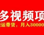 多多带货视频快速50爆款拿带货资格，搬运带货，月入30000【全套脚本+详细玩法】-一米创业记