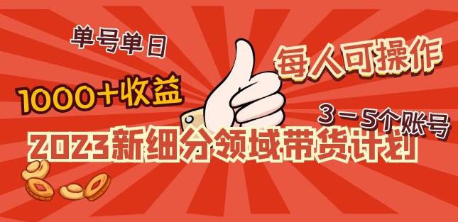 2023新细分领域带货计划：单号单日1000+收益不难，每人可操作3-5个账号-一米创业记