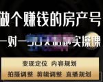 刘广标·同城房产号线上陪跑课，拍摄、剪辑、写文案、直播，做一个具有潜力价值的房产号-一米创业记
