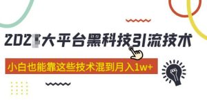 大平台黑科技引流技术，小白也能靠这些技术混到月入1w+(2022年的课程）-一米创业记