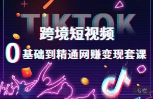 跨境短视频TIKTOK 0基础到精通网赚变现套课，跨境短视频独立站带货变现技巧-一米创业记