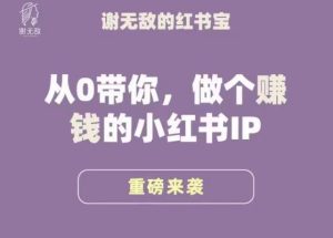谢无敌·小红书运营大宝典，从0带你做个赚钱的小红书IP-一米创业记