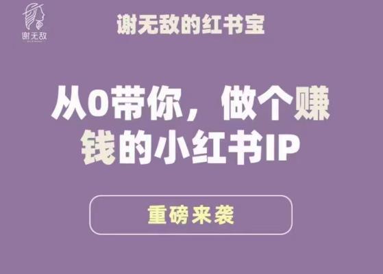 谢无敌·小红书运营大宝典，从0带你做个赚钱的小红书IP-一米创业记