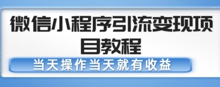 微信小程序引流变现项目教程，当天操作当天就有收益，变现不再是难事-一米创业记