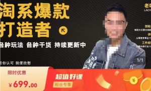 锋投老叶全店动销，淘系干货汇总，各种玩法，淘系爆款打造者-一米创业记