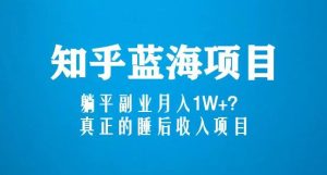 知乎蓝海玩法，躺平副业月入1W+，真正的睡后收入项目（6节视频课）-一米创业记