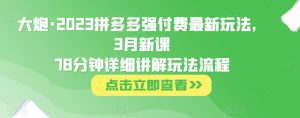 大炮·2023拼多多强付费最新玩法，3月新课​78分钟详细讲解玩法流程-一米创业记