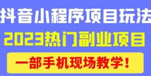 抖音小程序9.0新技巧，2023热门副业项目，动动手指轻松变现-一米创业记