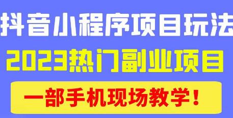 抖音小程序9.0新技巧，2023热门副业项目，动动手指轻松变现-一米创业记