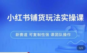 小红书铺货玩法实操课，流量大，竞争小，非常好做，新赛道，可复制性强，可团队操作-一米创业记