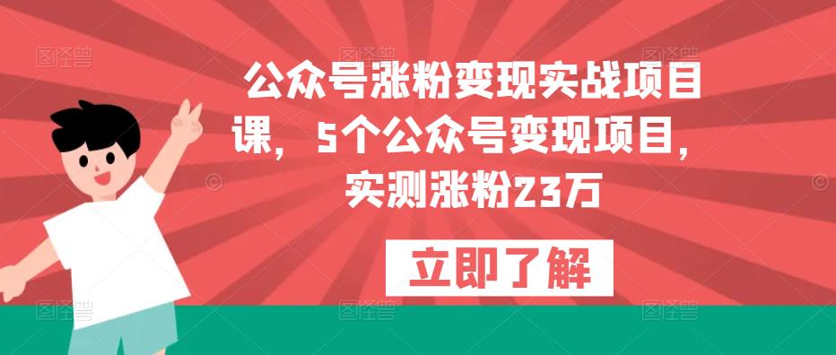 公众号涨粉变现实战项目课，5个公众号变现项目，实测涨粉23万-一米创业记