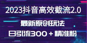 日引300＋创业粉，独家抖音高效截流2.0玩法（价值1280）-一米创业记