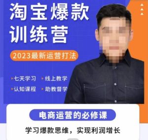 爱上黄昏·淘宝爆款训练营，2023最新运营打法，学习爆款思维，实现利润增长-一米创业记