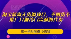 淘宝蓝海无货源项目，不囤货不推广只做冷门高利润代发，花一半时间赚10倍钱-一米创业记