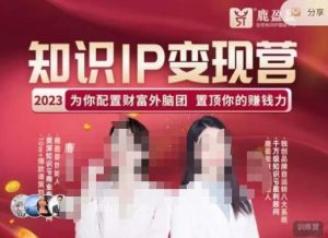 鹿盈盈-知识IP变现实操营，​普通人可复制的知识产品落地实操课，​带你打通知识IP变现底层逻辑-一米创业记