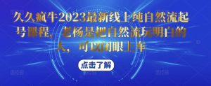 久久疯牛2023最新线上纯自然流起号课程，老杨是把自然流玩明白的人，可以闭眼上车-一米创业记