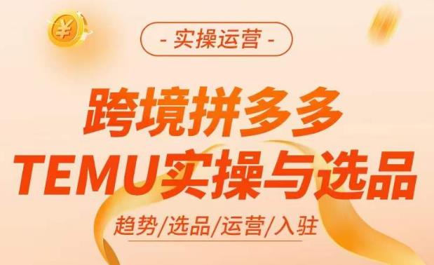 跨境拼多多TEMU实操与选品，​掌握平台运营方法技巧，选品避坑12条标准，爆款的底层思路等-一米创业记