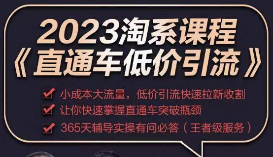 2023直通车低价引流玩法课程,小成本大流量,低价引流快速拉新收割,让你快速掌握直通车突破瓶颈-一米创业记