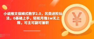 小说推文保姆式教学2.0，另类进阶玩法，0基础上手，轻松月撸1w无上限，可主可副可兼职-一米创业记