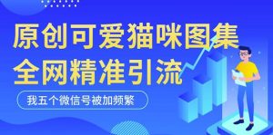 黑科技纯原创可爱猫咪图片，全网精准引流，实操5个VX号被加频繁-一米创业记