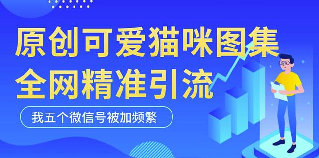 黑科技纯原创可爱猫咪图片，全网精准引流，实操5个VX号被加频繁-一米创业记