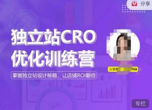 独立站CRO优化训练营，掌握独立站设计秘籍，打造高转化的独立站，让店铺ROI翻倍-一米创业记